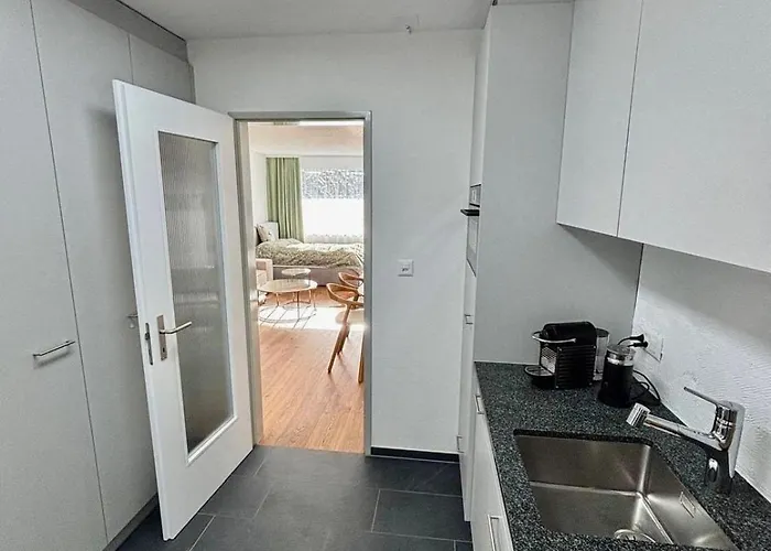 1-room - Newly Renovated And Davos